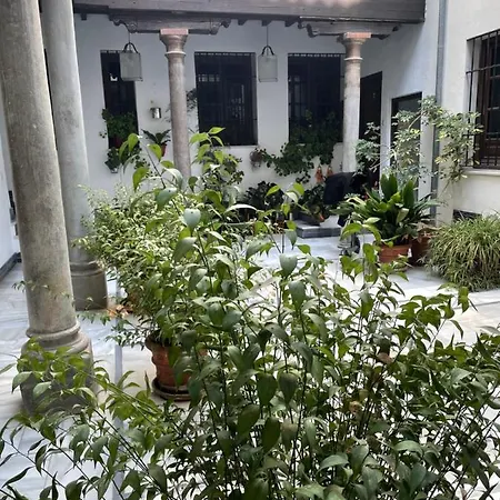 Embrujo
